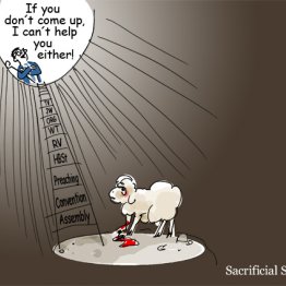 Bittersweet Cartoons for Hurt Sheep