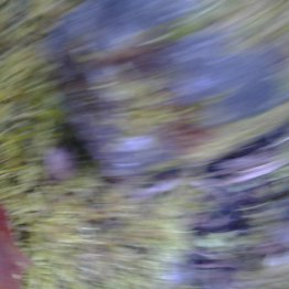 1- ¿Testigos de Jehová o Testigos de Jesús?