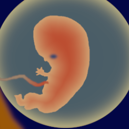 Gibt es ein Leben nach der Geburt?