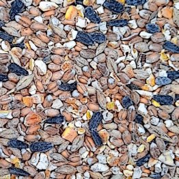 Noch mehr Futter: Unsere Linktipps