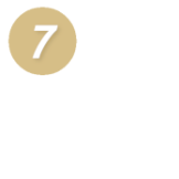 Number 7