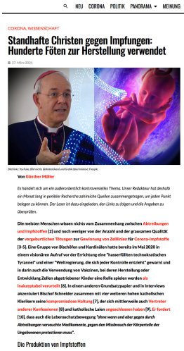 Artillerie: Bishop Schneider of Germany denounces use of foetuses