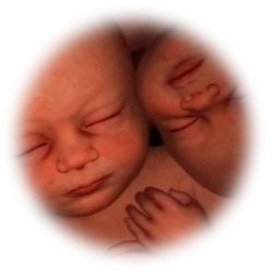 ungeborene Zwillinge