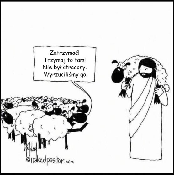 Stado owiec wypędza zagubione owce, które Jezus uratował