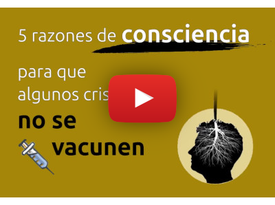 Enlace al vídeo #3 de YouTube